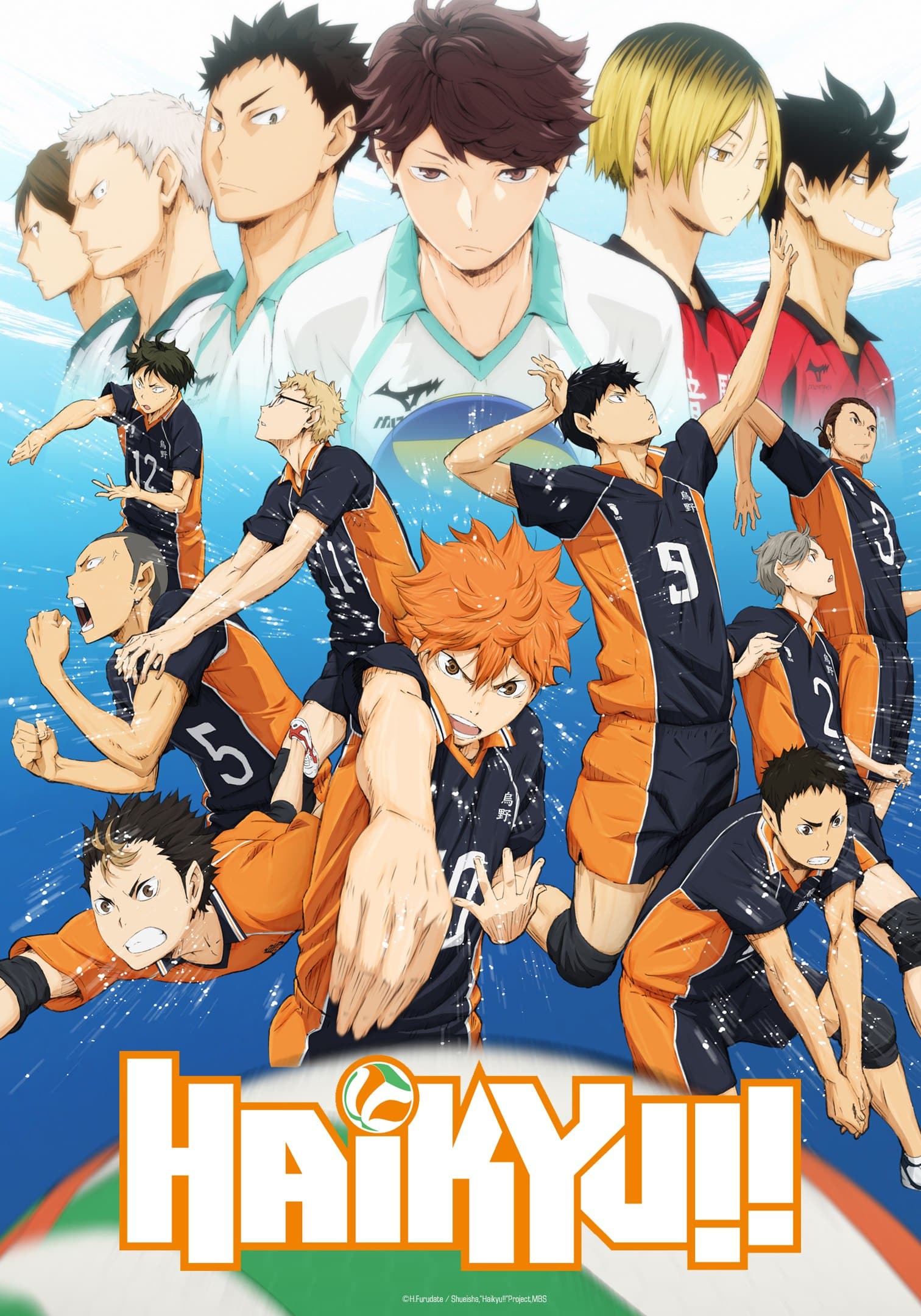 Haikyu! bei ADN