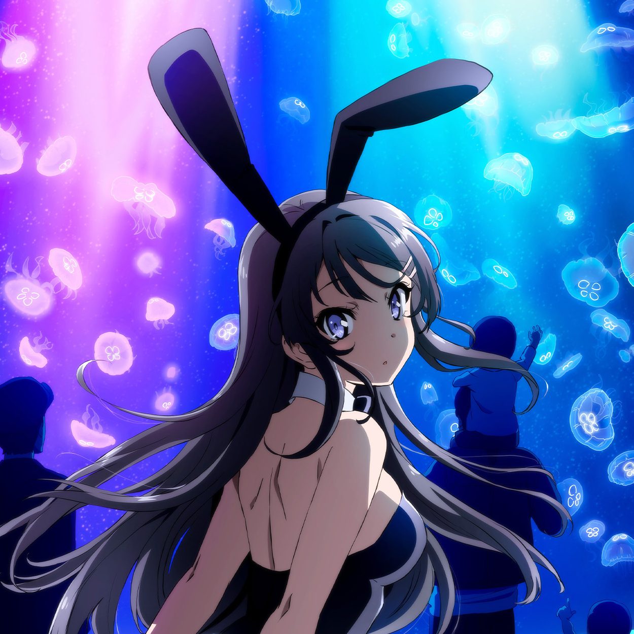 Rascal Does Not Dream of Bunny Girl Senpai en streaming sur ADN