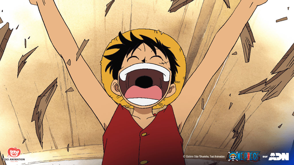 One Piece erscheint mit deutscher Originalsynchro bei ADN