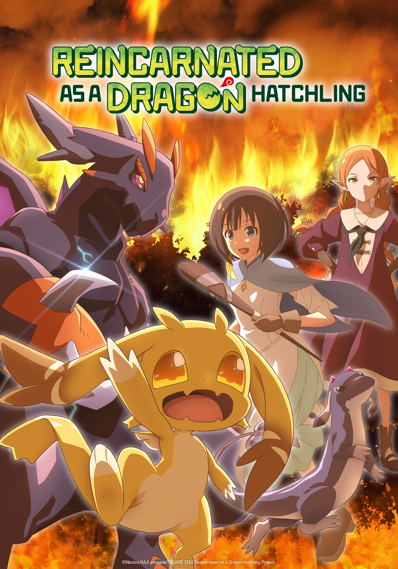 Reincarnated as a Dragon Hatchling