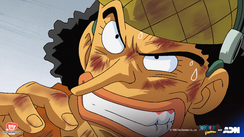 One Piece Spielfilme mit deutscher Synchro bei ADN