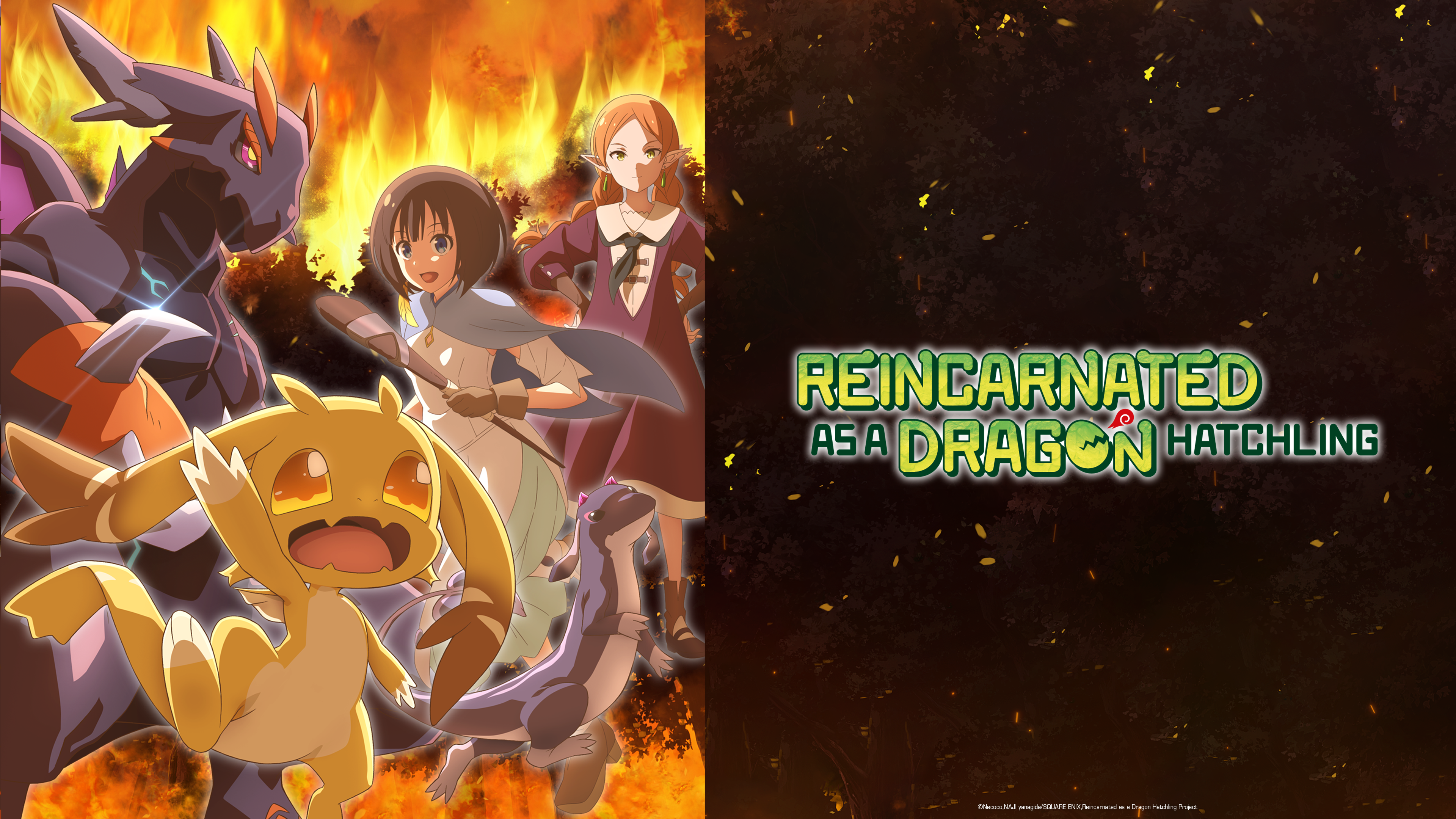 Streame Reincarnated as a Dragon Hatchling bei ADN.