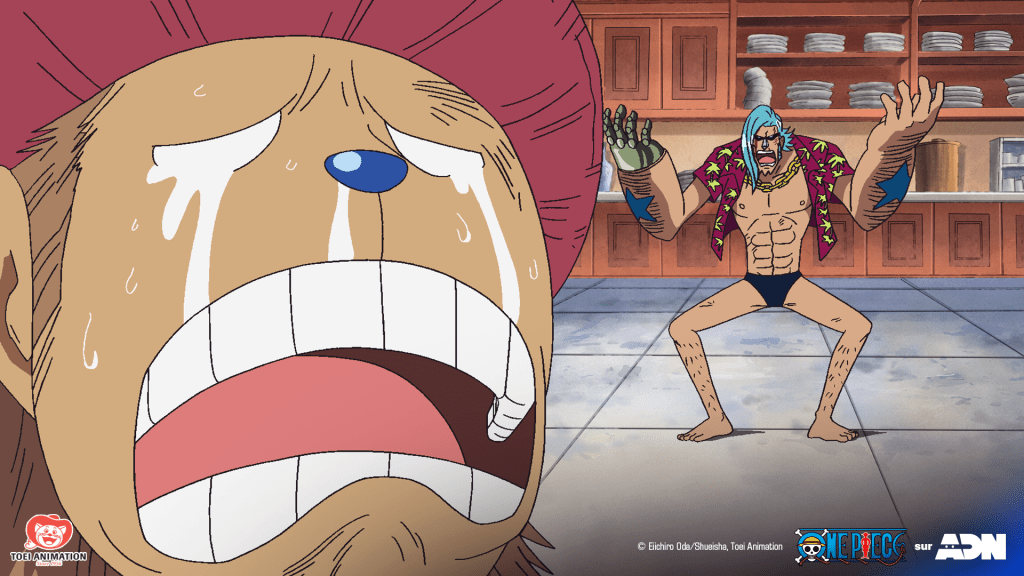 Streame One Piece: Saga 5 - Water 7 auf Deutsch bei ADN.
