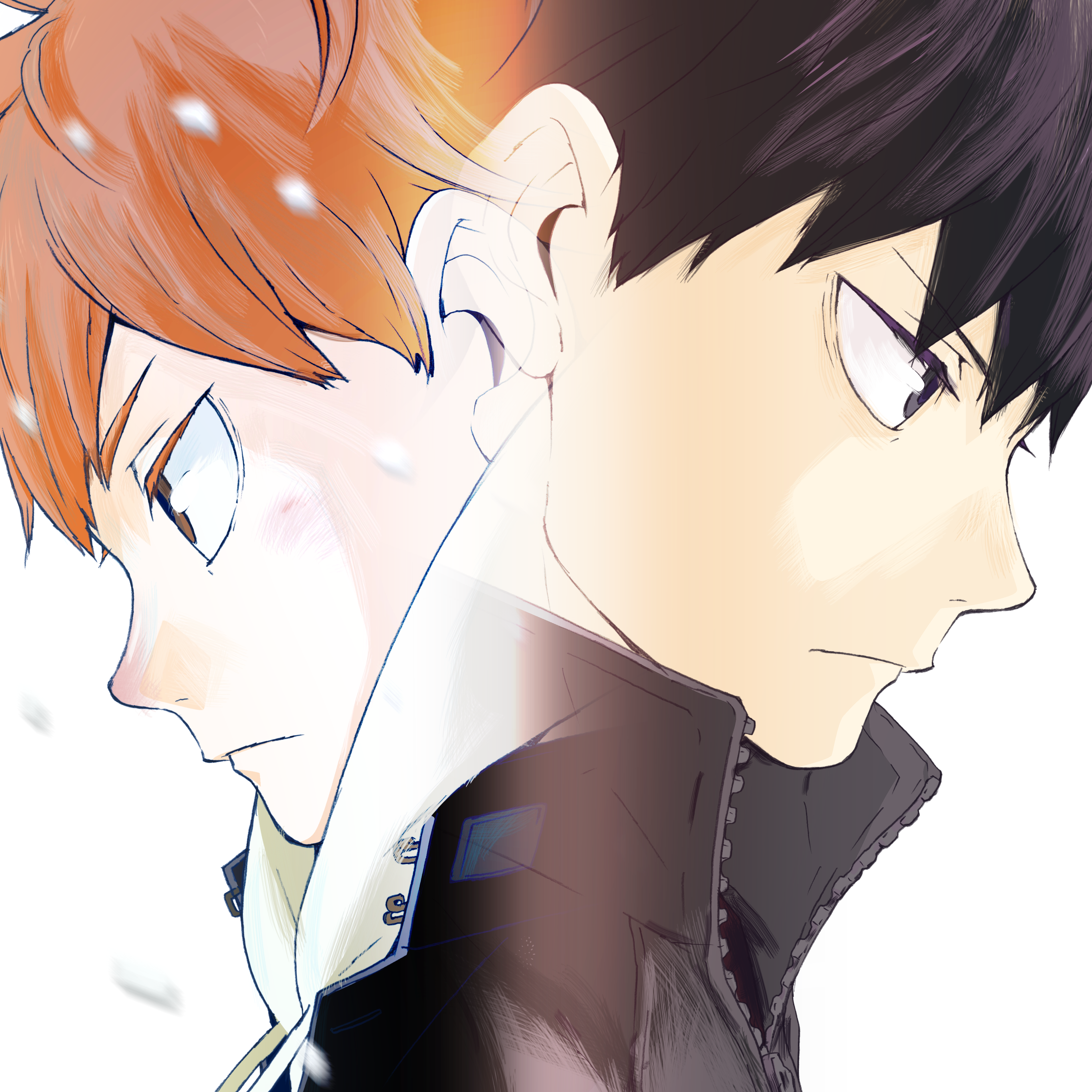 La VF de Haikyu saison 4 maintenant sur ADN !